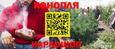 шишки Бузулук
