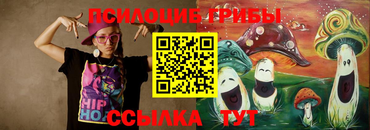 Новодвинск  Псилоцибиновые грибы прущие грибы  Вход с VPN  Псилоцибиновые грибы Cubensis 